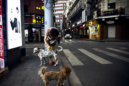 城市街头遛狗的女人图片