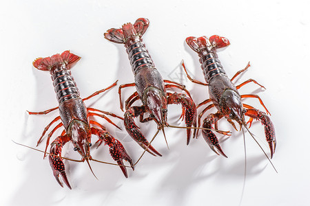 小龙虾淘宝食品素材高清图片