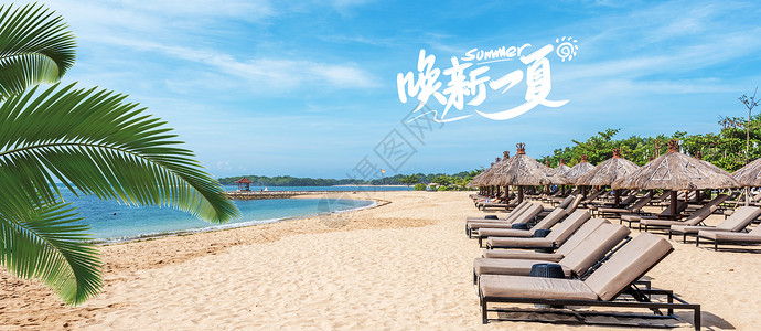 椰子树和沙滩夏季背景设计图片