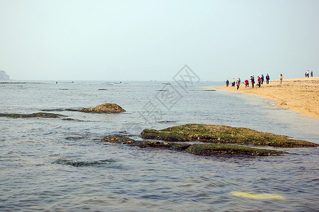 夏日的海南图片