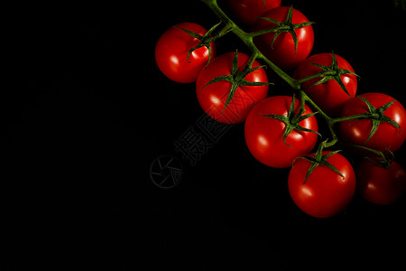 一串诱人的番茄背景图片