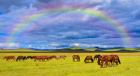 内蒙牧场草原彩虹背景