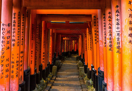 千本樱千本鸟居背景