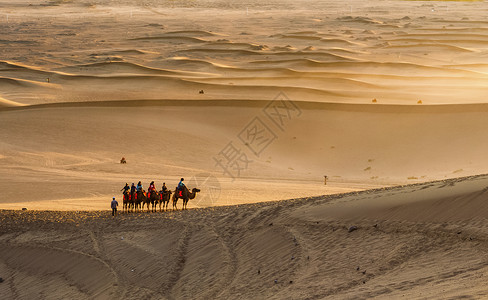 荒漠驼铃沙海苍茫背景图片