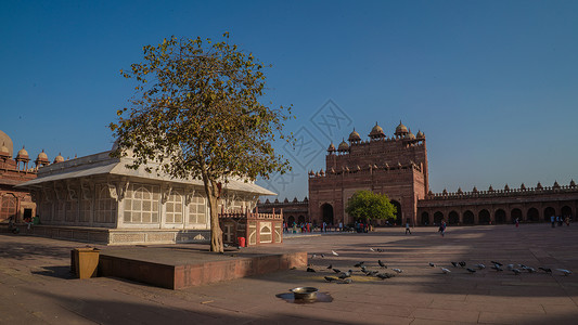 阿格拉堡建筑细节印度阿格拉堡背景