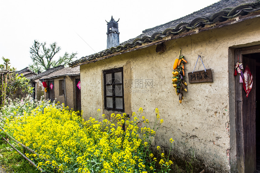 嘉兴梅花洲庄桥村茅屋图片