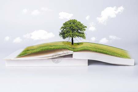植树边框库免费书本中的世界设计图片