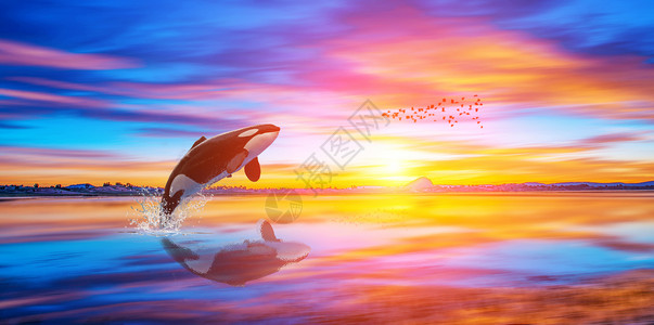 梦幻治愈系童话鲸鱼出水设计图片