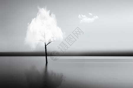 树黑白白云树设计图片
