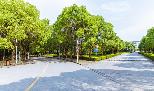 开学路上海华东政法大学校园路背景