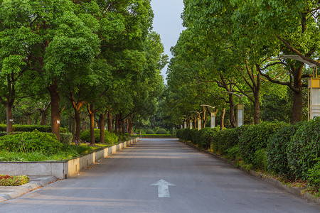 开学路上海视觉艺术学院校园路背景