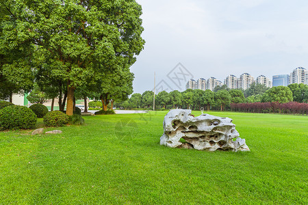 上海大学校园草地假石设计背景