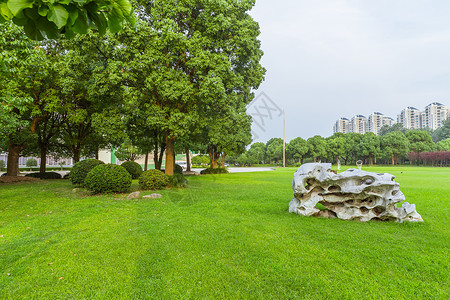 上海大学校园草地假石设计背景