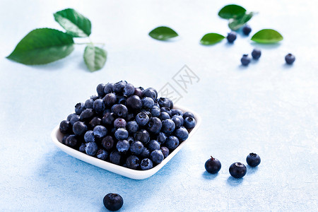 应季产品蓝莓背景