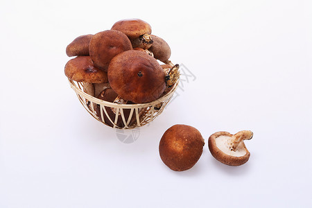 鲜白蘑菇香菇背景
