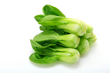 小白菜绿色蔬菜小青菜背景