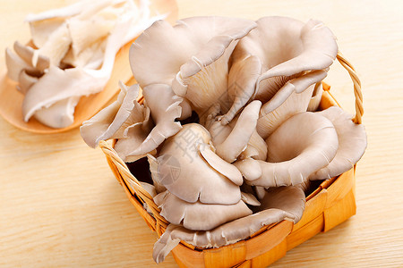 手绘食物蘑菇平菇背景