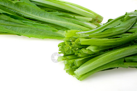 绿色蔬菜油菜油麦菜背景