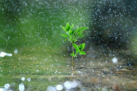 水与生命露雨绿色环保设计图片