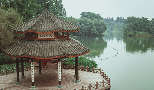 花亭湖夏日凉亭赏荷背景