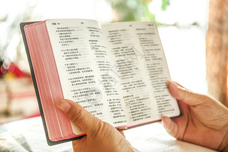 圣经宣誓阅读书籍背景