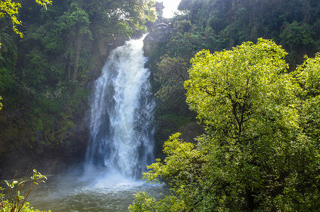 三叠水瀑布植被风景高清图片