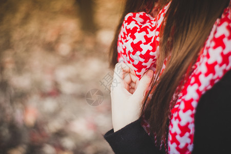 红色的围巾秋天的围巾背景