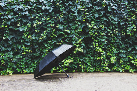 一把雨伞一把黑伞背景