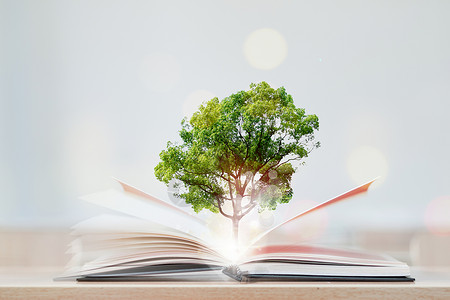 合成的书和树图创意书树设计图片