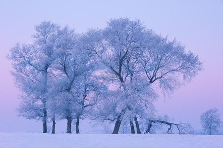 白色雪景海报松花江上清晨的雾凇背景