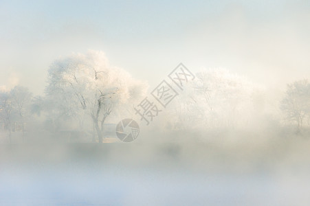 白色雪景海报松花江上清晨的雾凇背景