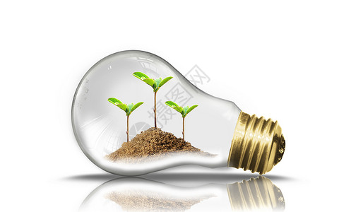 植物实验绿色节能灯泡设计图片