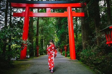 红色日本银莲花日本箱根神社和服鸟居背景