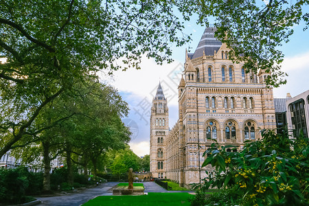 学生参观博物馆英国伦敦自然历史博物馆背景