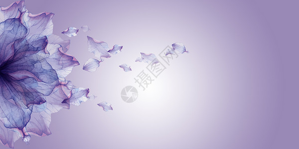 唯美紫色湖畔唯美情人节花瓣背景设计图片