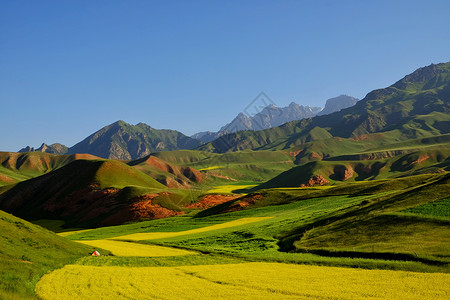 中国地形祁连卓尔山油菜花背景