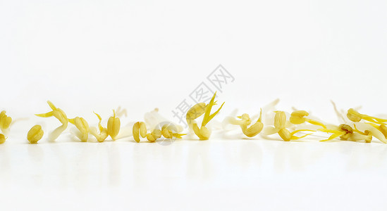 创意蔬菜白色背景上的黄豆芽背景图片