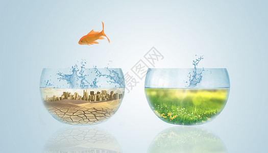跳上湖鱼缸里的生态环保设计图片