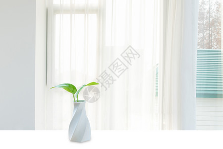 绿色简洁窗台水培绿植背景