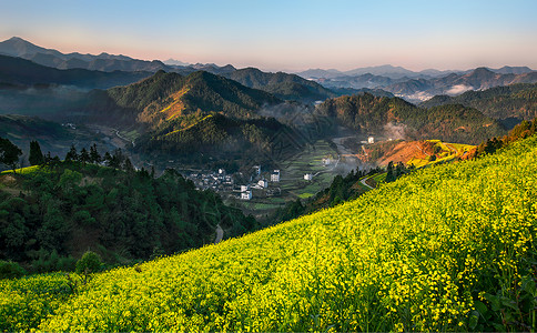 开满油菜花的山中村落背景图片