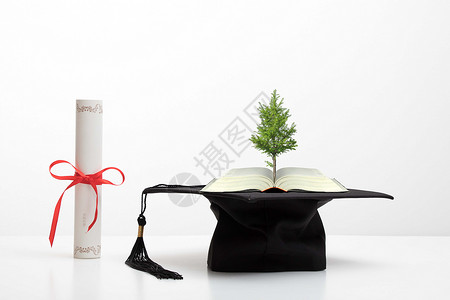 创意证书创意书籍学士帽证书大树设计图片