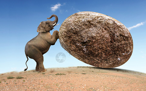 2个大象素材创意大象推石头设计图片