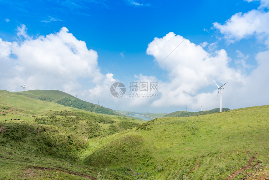 贵州乌蒙大草原图片