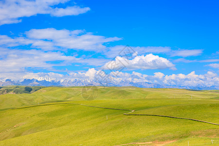 裕固族甘肃张掖康乐草原背景