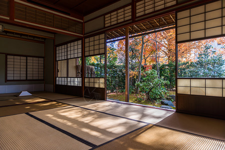 枫叶旅游素材日本庭院和榻榻米背景