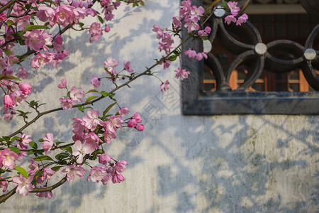 中国风水墨山水背景墙中国风水墨的极简风格艺术背景