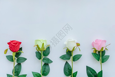 粉绿边框玫瑰花背景