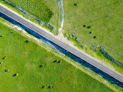 树林道路航拍草原上的公路背景