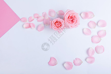红玫瑰花背景粉色情人节背景素材背景