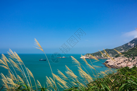 蘆葦东极岛海岛风光背景